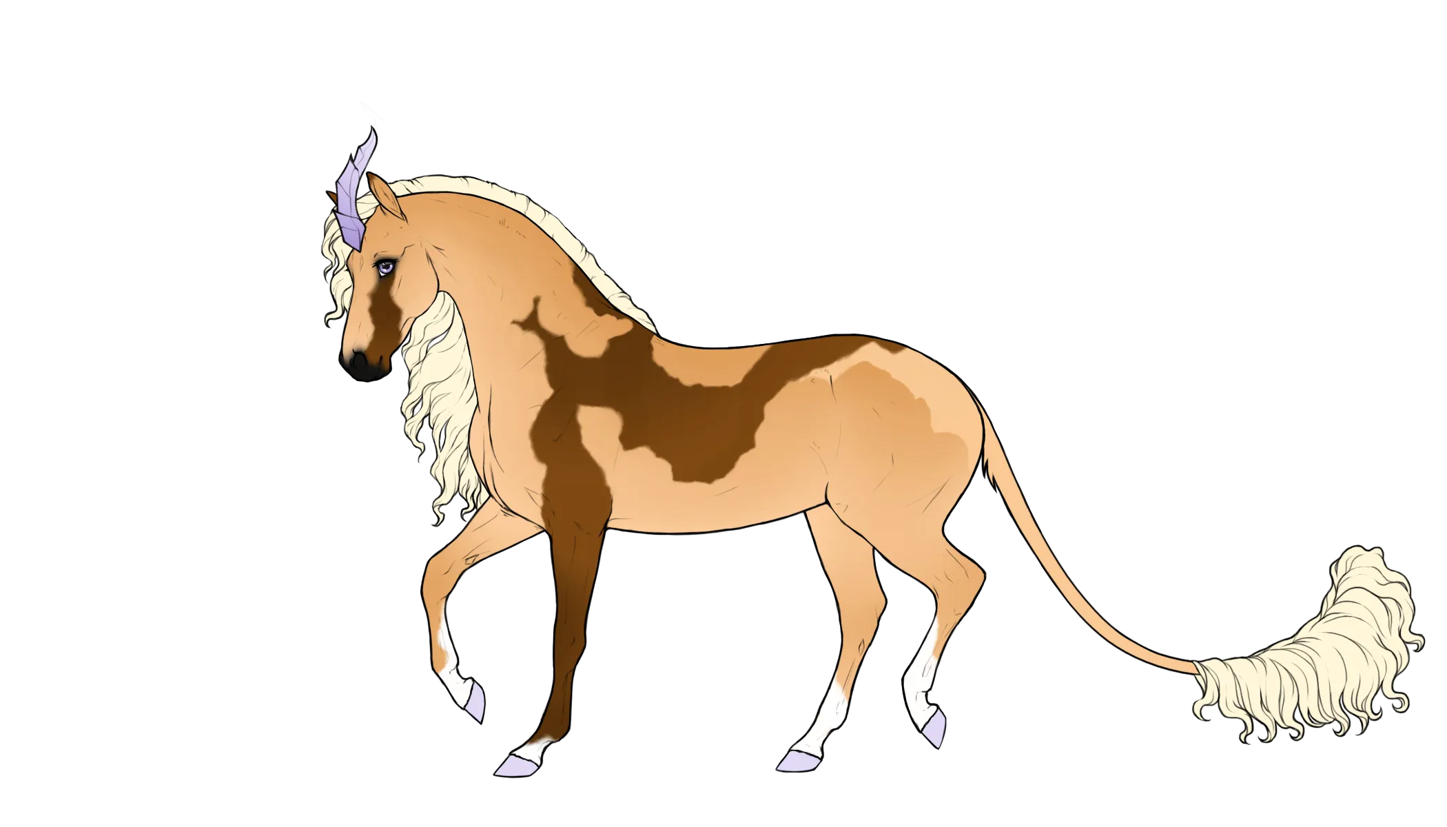 Courser