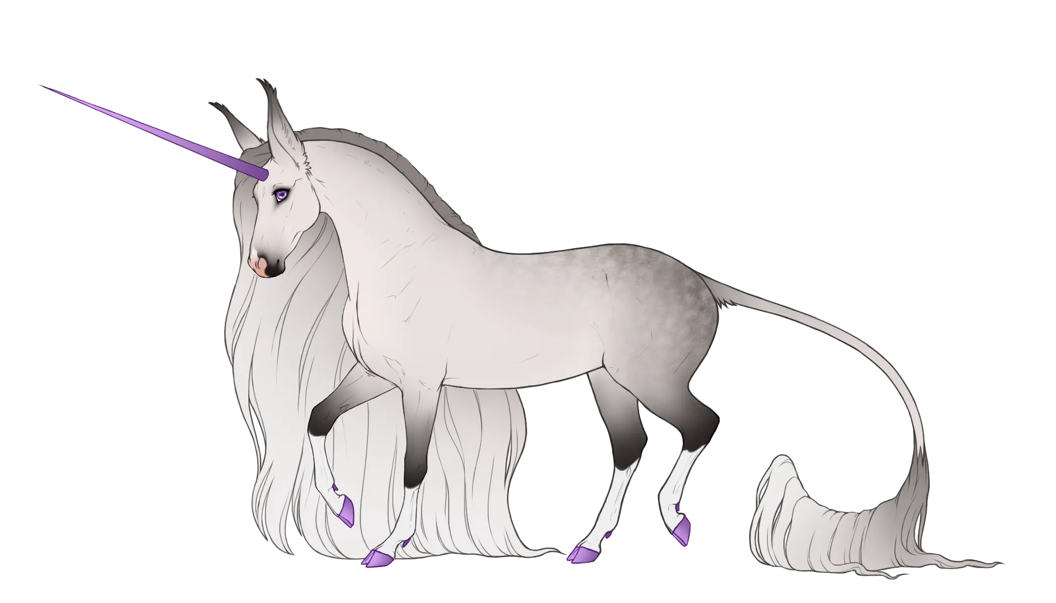 Aurea
