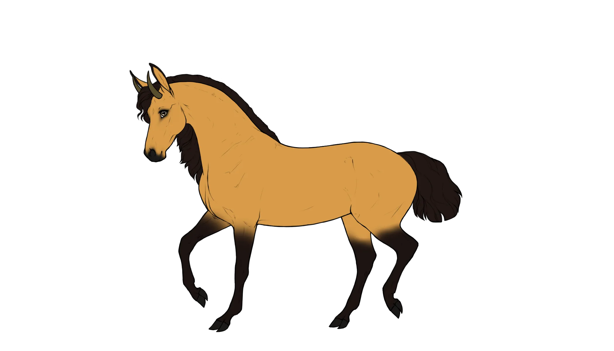 Boh