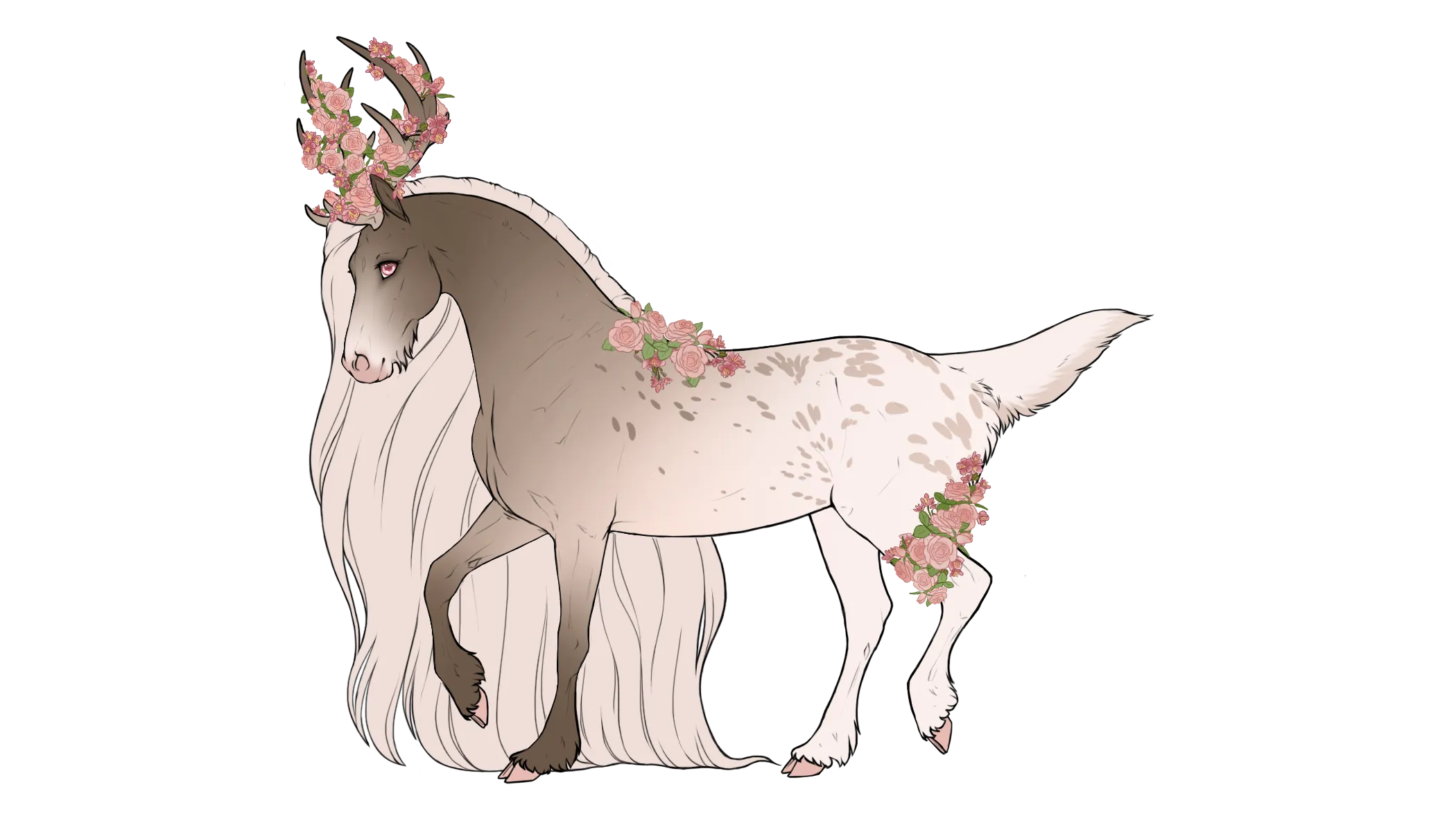 Fauna