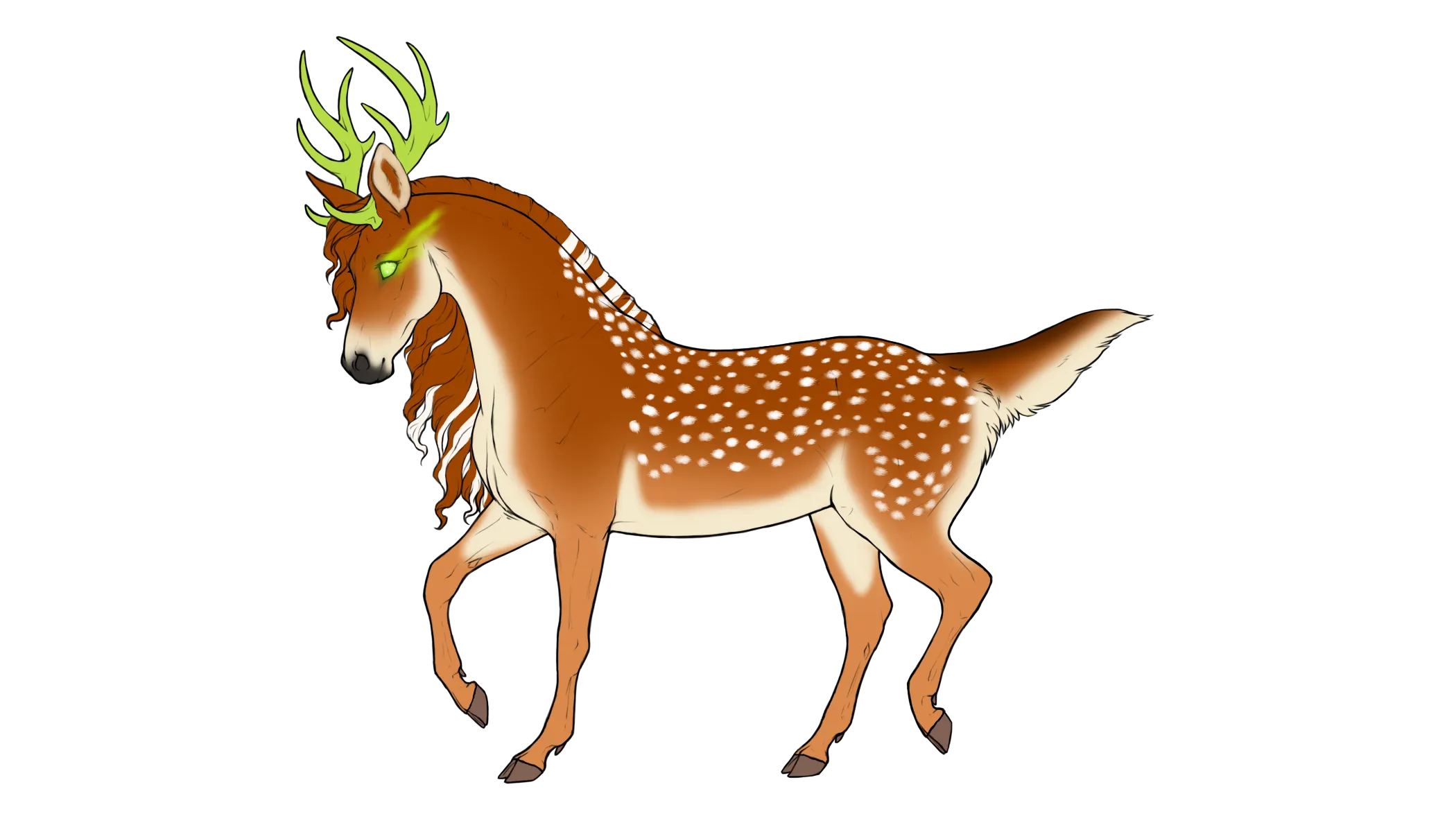 Aras