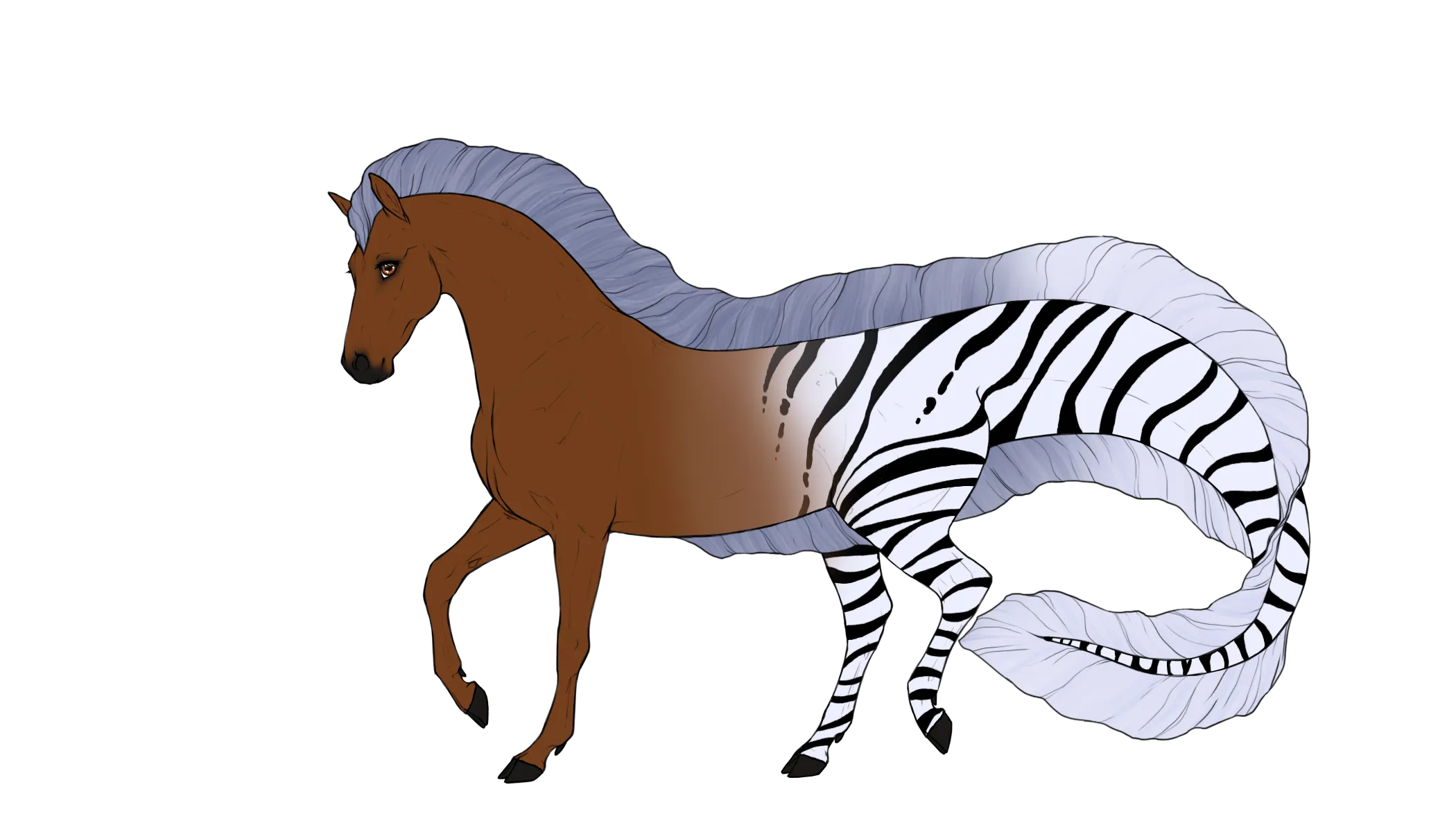 Zeba
