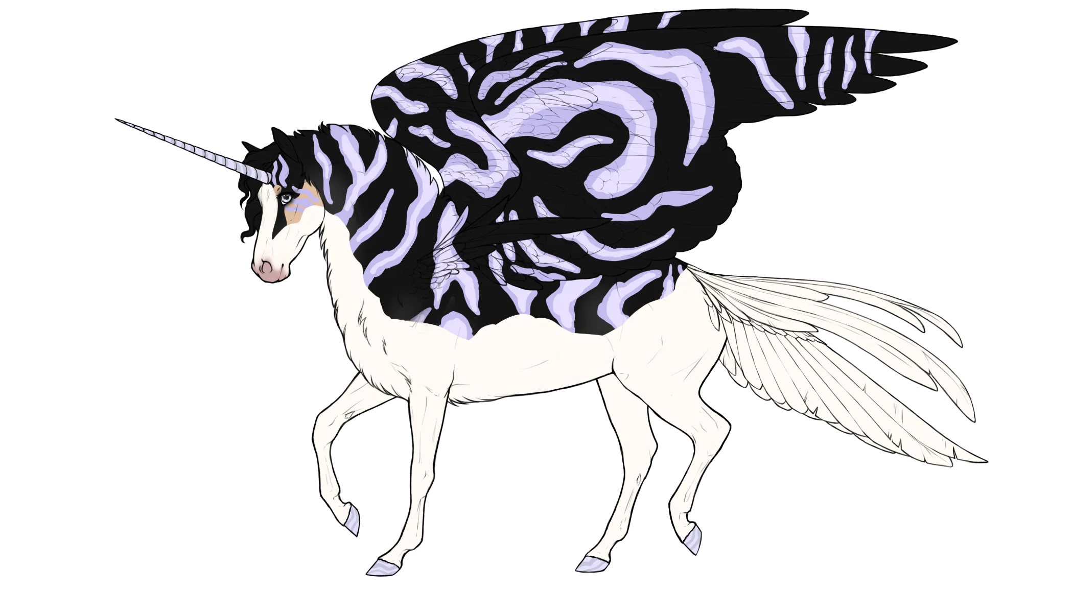 Zephyr