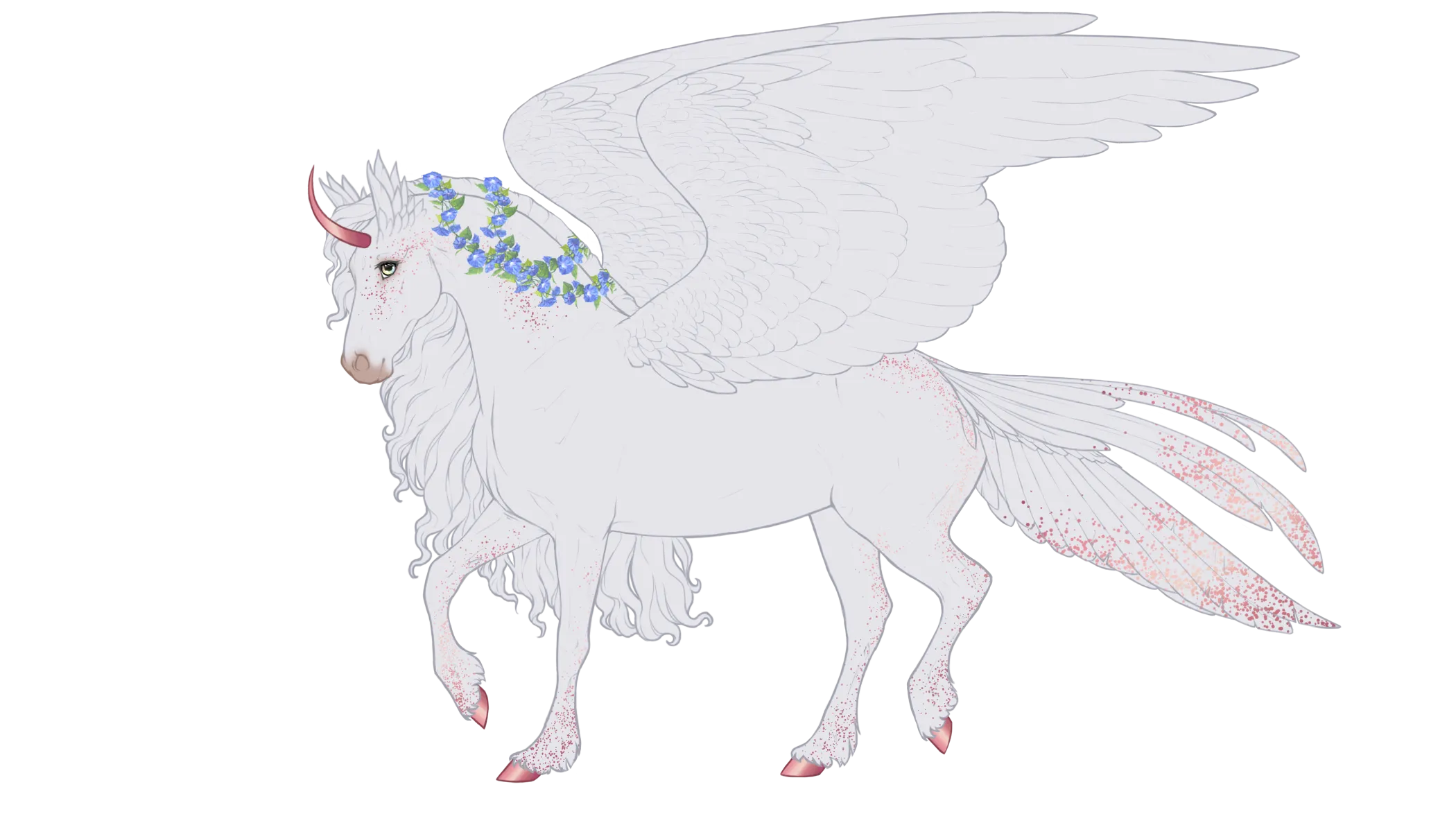 Dove