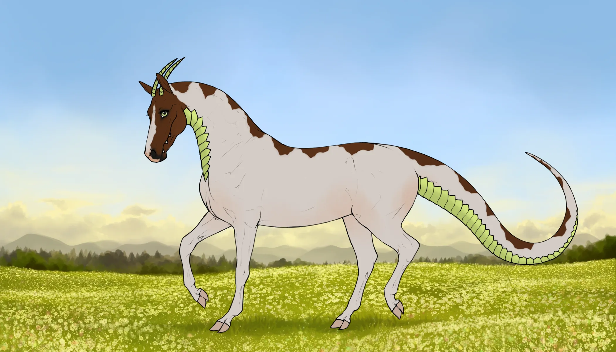 Sanok