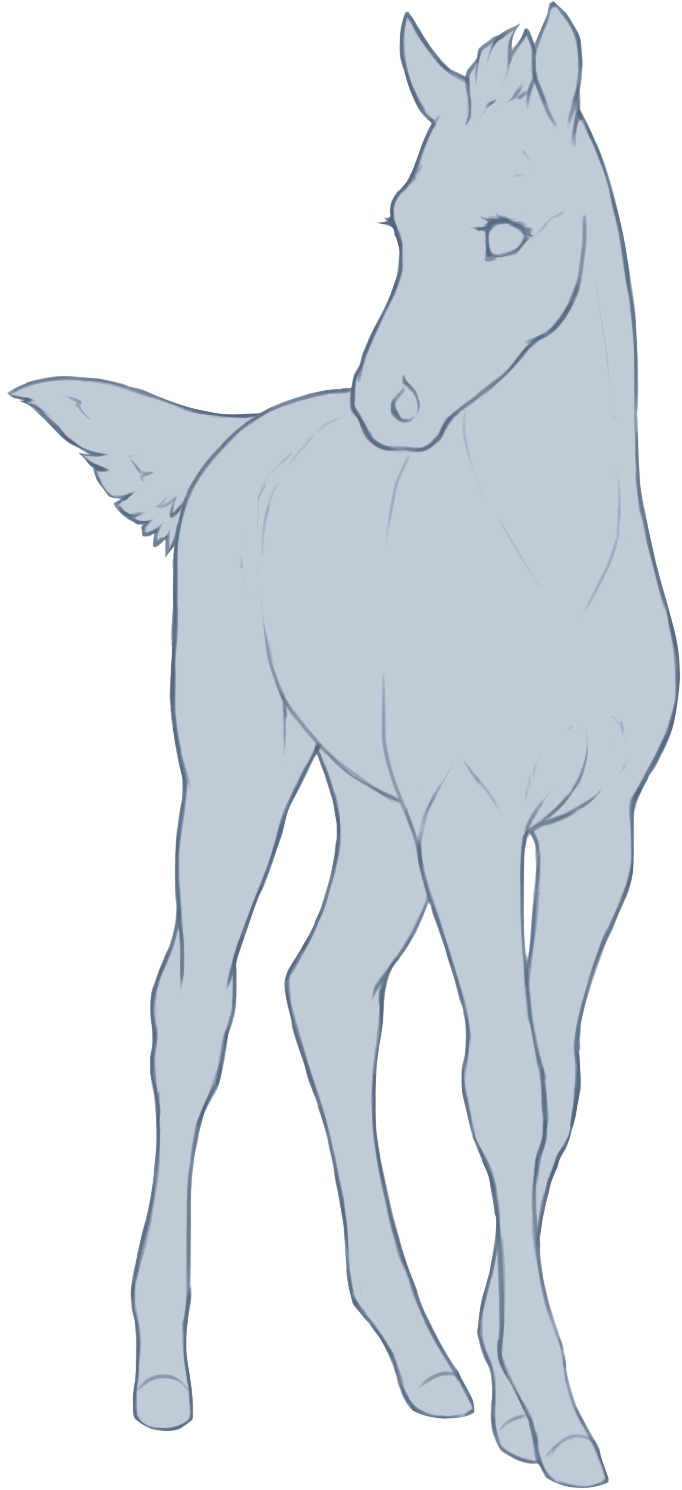 foal placeholder